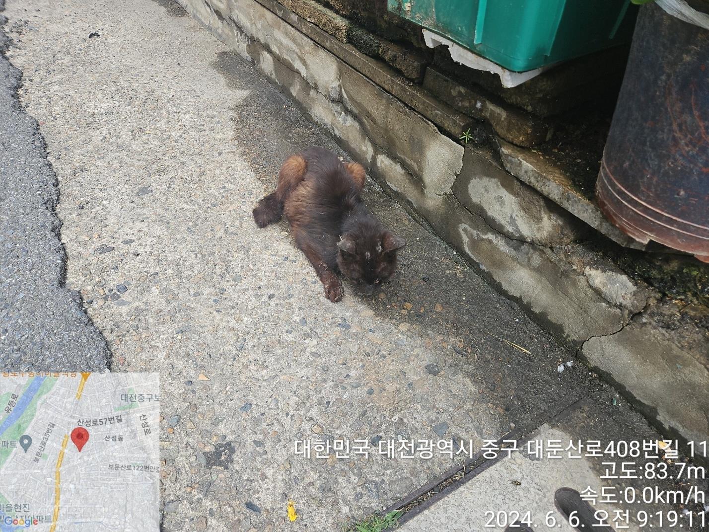 종료(자연사) 한국…